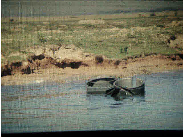 Tango 7 March 14, 1968, Remembering Tango 7 - Wendell Affield